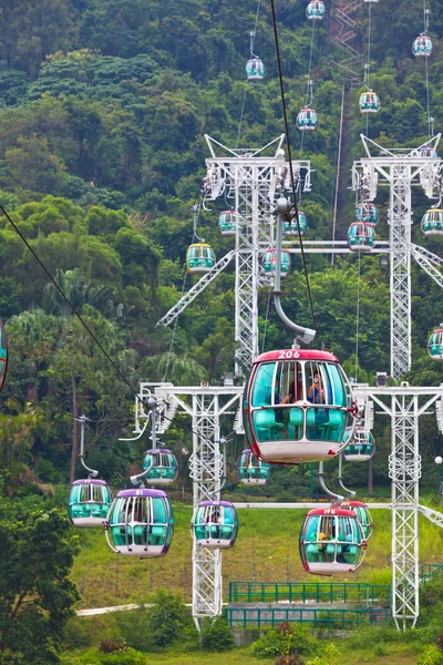 Cable cars over tropical trees in Hong Kong — Stock Photo, Image