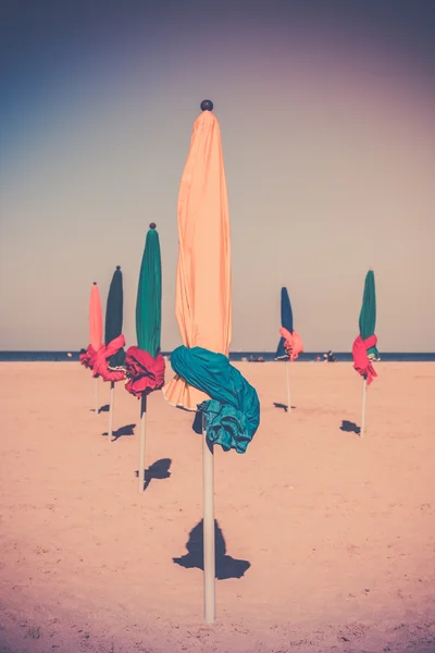 Ünlü renkli şemsiye — Stok fotoğraf