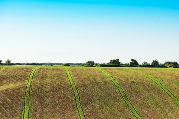 Campo agrícola em uma colina — Fotografia de Stock