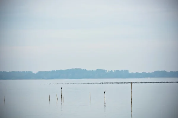 北の海の風景 — ストック写真