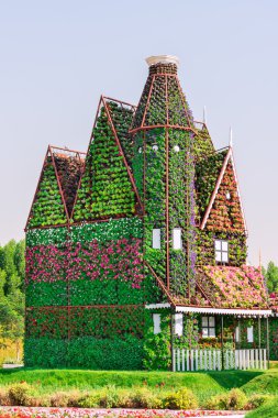 Dubai mucize Bahçe milyon çiçekli