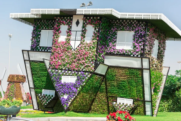 Dubai giardino miracoloso con milioni di fiori — Foto Stock