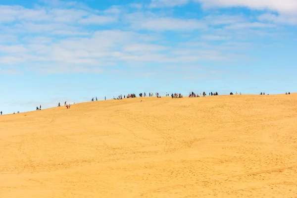 Personas que visitan la duna de arena más alta —  Fotos de Stock