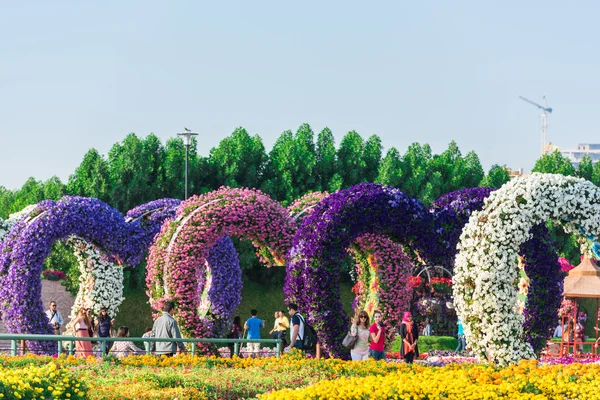 Jardin miracle de Dubaï avec des millions de fleurs — Photo