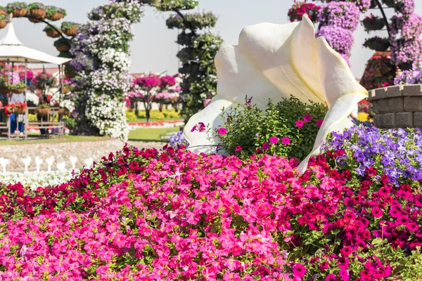 Dubai wonder tuin met miljoen bloemen — Stockfoto