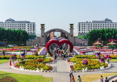 Dubai mucize Bahçe milyon çiçekli