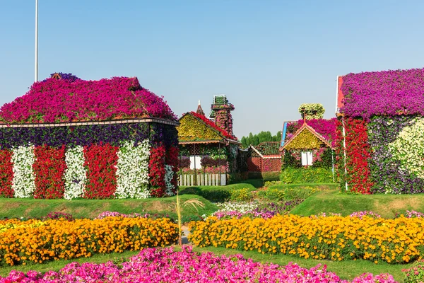 Dubai wonder tuin met miljoen bloemen — Stockfoto