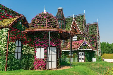 Dubai mucize Bahçe milyon çiçekli