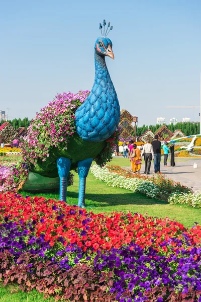 Dubai Wundergarten mit Millionen Blumen — Stockfoto