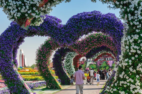 Дубайский микс-сад — стоковое фото