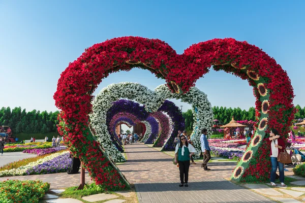 Jardin miracle de Dubaï avec plus de millions de fleurs — Photo