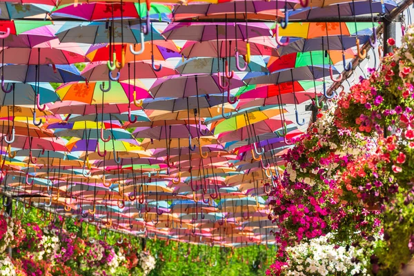 五颜六色的雨伞，在迪拜奇迹花园 — 图库照片