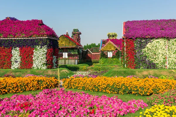 Jardin avec plus de millions de fleurs — Photo