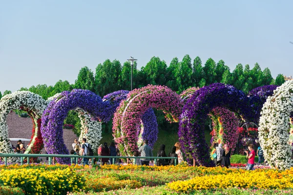 Jardin avec plus de millions de fleurs — Photo