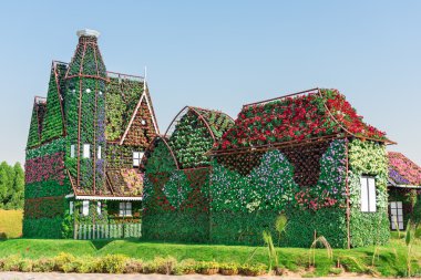 dubai mucize bahçesi 