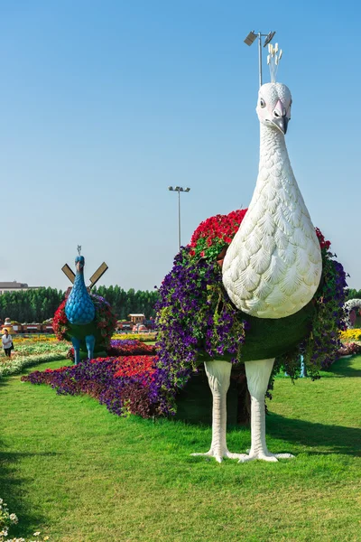 Dubai jardín milagro — Foto editorial de stock © dvoevnore #118014856