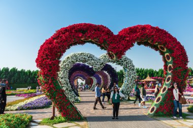 dubai mucize bahçesi  