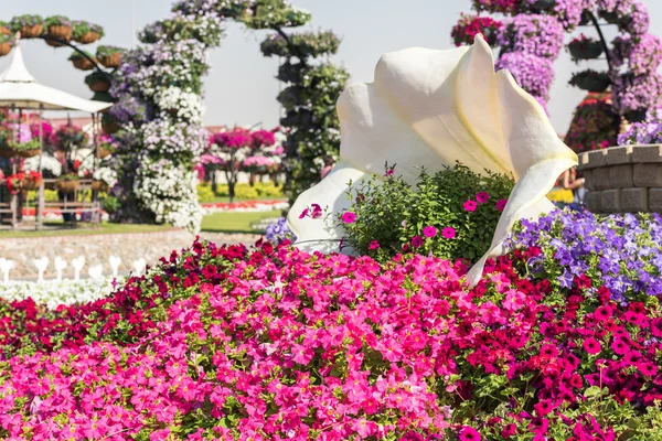 Dubai wonder tuin — Stockfoto