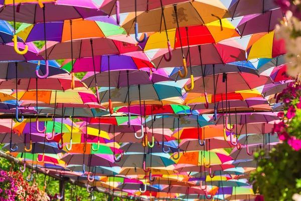Parapluies colorés dans le jardin miracle de Dubaï — Photo