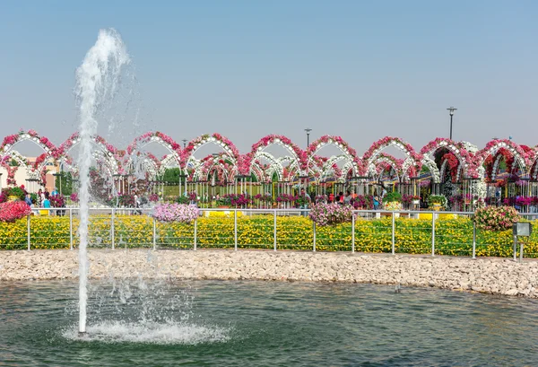 Dubai jardín milagro — Foto de Stock