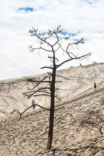 Persone che visitano le dune di sabbia più alte — Foto Stock