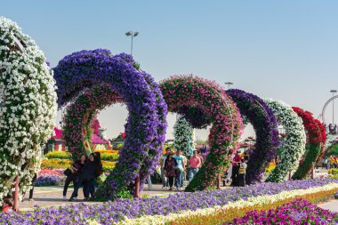 dubai mucize bahçesi 