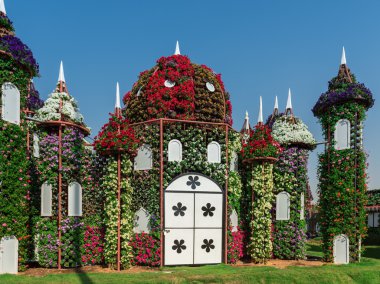 dubai mucize bahçesi 