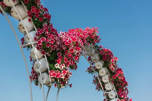 Dubai Wundergarten — Stockfoto