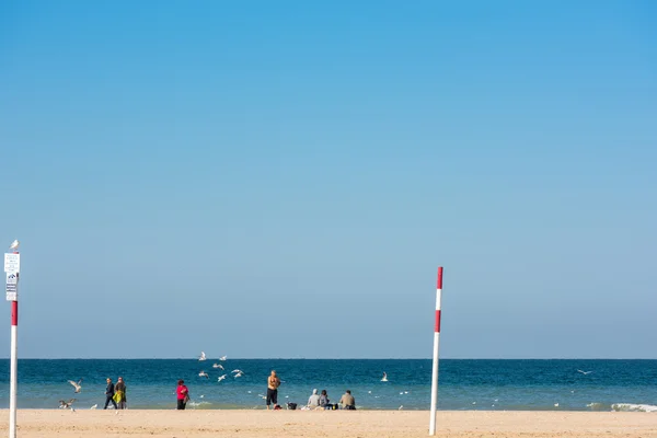 Deauville beach in de herfst — Stockfoto