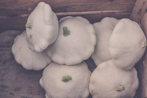 White custard marrows — Stok fotoğraf