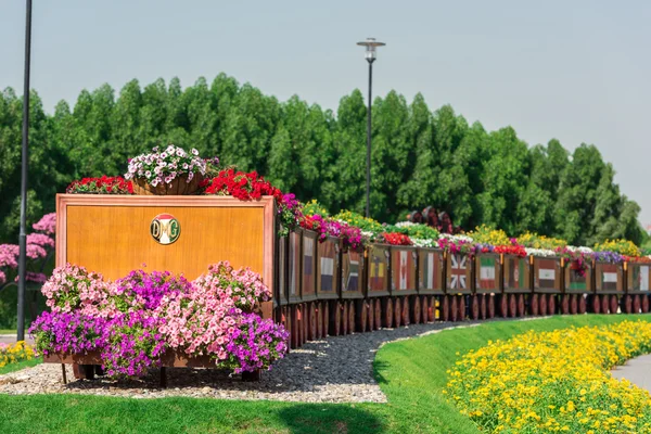 Dubai miracle garden mit blumen — Stockfoto