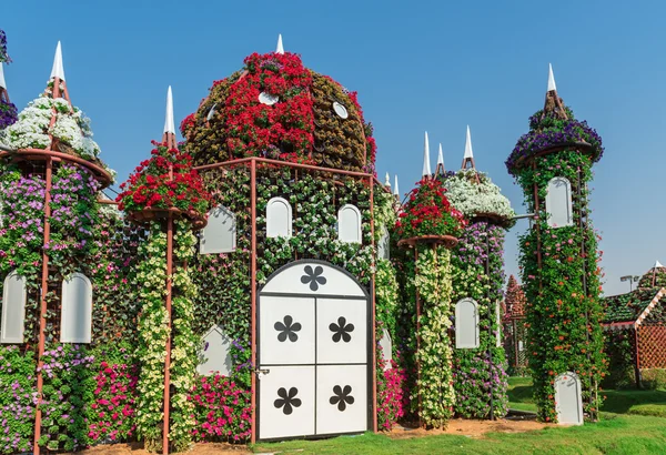 Jardin miracle de Dubaï avec des fleurs — Photo