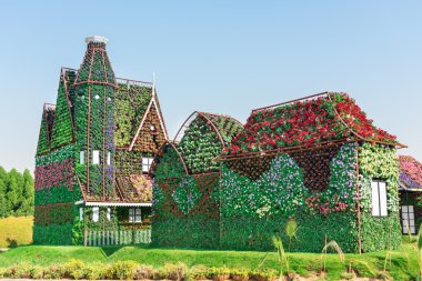 dubai mucize bahçesi