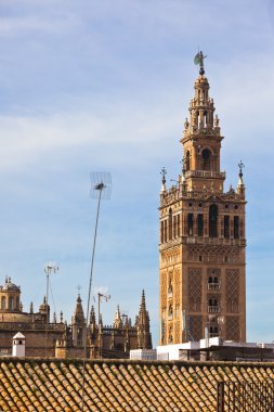 İspanya Sevilla Katedrali