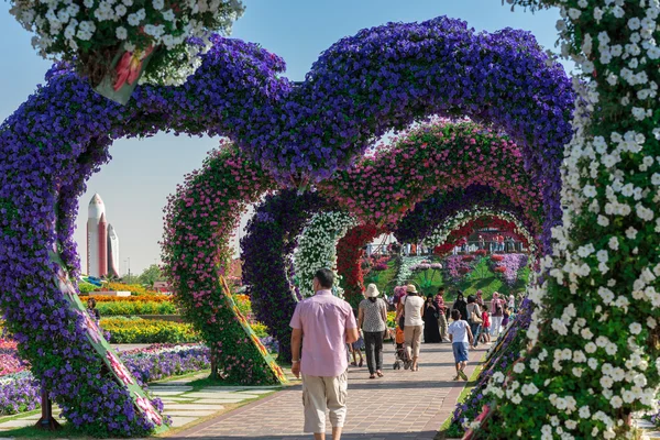 Jardin Miracle de Dubaï — Photo