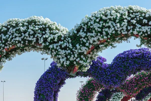 Dubai Wundergarten — Stockfoto