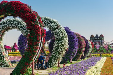 dubai mucize bahçesi