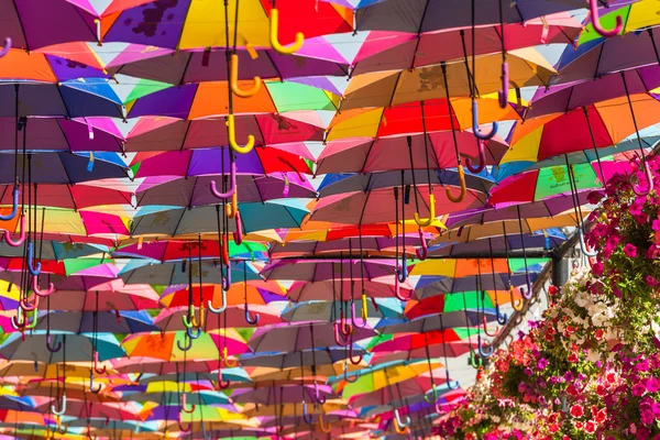 Sonnenschirme im dubai garden — Stockfoto