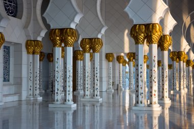 Sheikh zayed beyaz Camii  