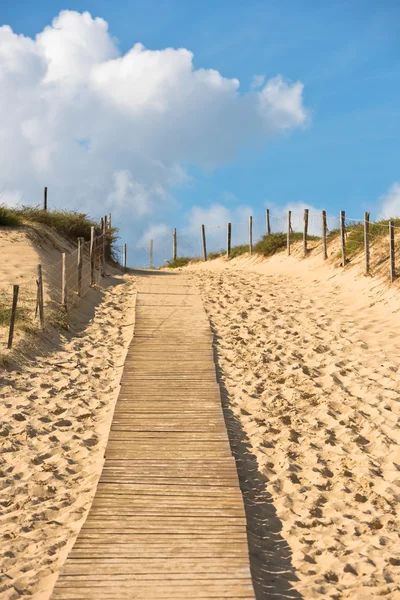 Houten wandelpad door de duinen — Stockfoto