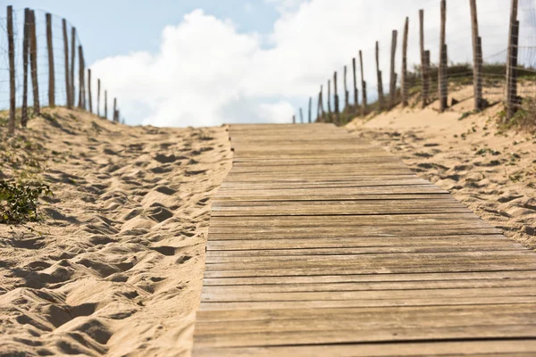 Trä gångväg genom sanddyner — Stockfoto