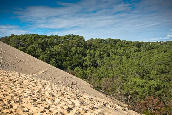 La duna más alta de Europa —  Fotos de Stock
