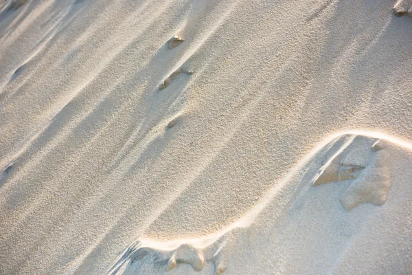 Europas högsta sanddynen — Stockfoto