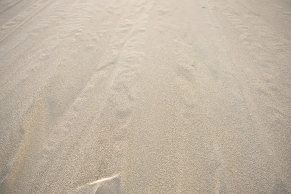 Europas högsta sanddynen — Stockfoto