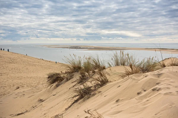 Duna Pyla, Frankrike — Stockfoto