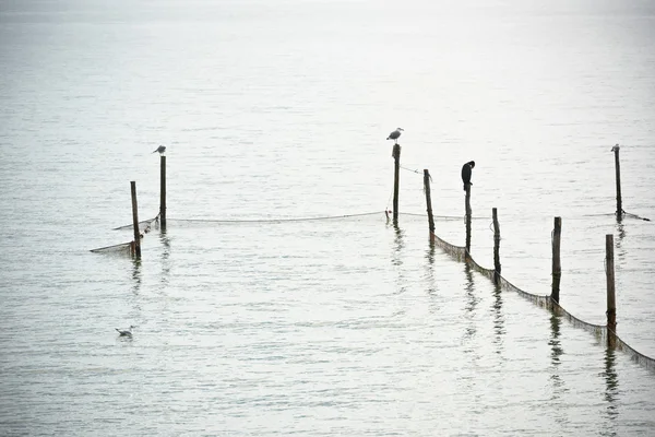 Paisagem do mar do Norte — Fotografia de Stock