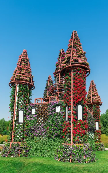Дубайский сад с более чем миллионом цветов — стоковое фото