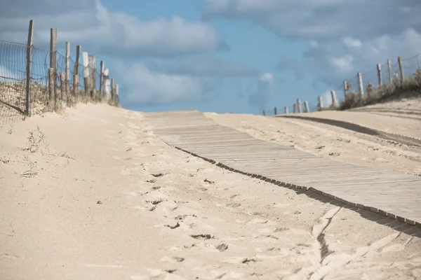 Wydmy na plaży oceanu — Zdjęcie stockowe