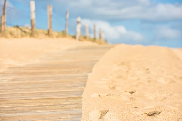 Sanddynerna på ocean beach — Stockfoto
