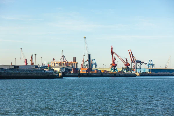 Grues dans le port maritime — Photo